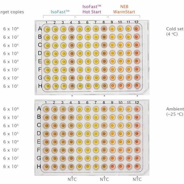IsoFast® Hot Start Bst Polymerase Colour & Mix