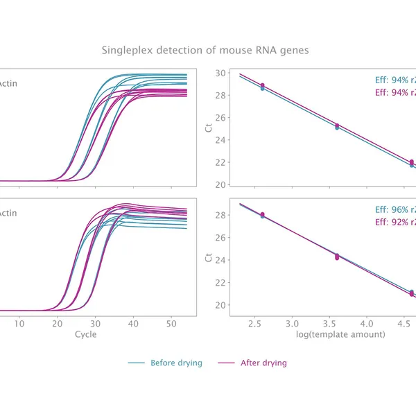 Air-Dryable Probe Mix and Probe 1-Step Mix
