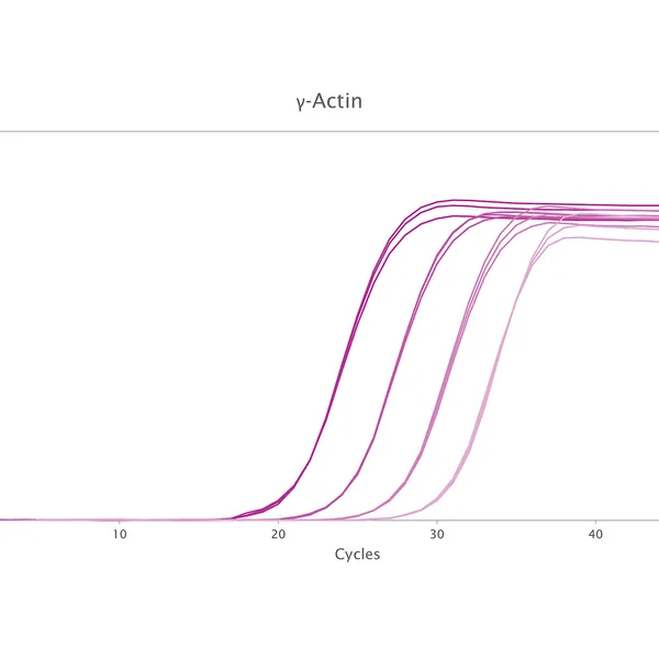 Clara® Inhibitor-Tolerant Probe Mix