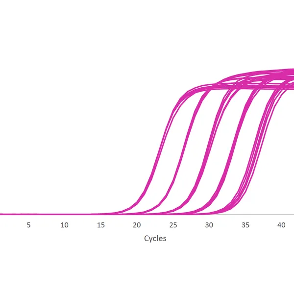 UltraScript® Reverse Transcriptase & cDNA Synthesis Kits