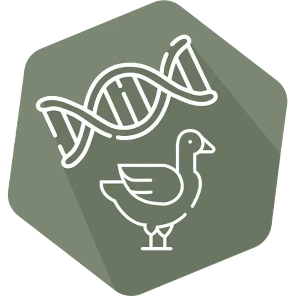 DNAnimal Ident Duck IPC