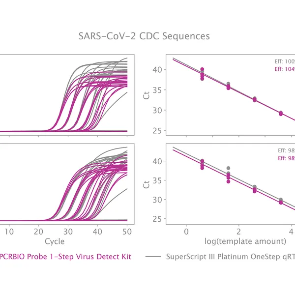 qPCRBIO Probe 1-Step Virus Detect