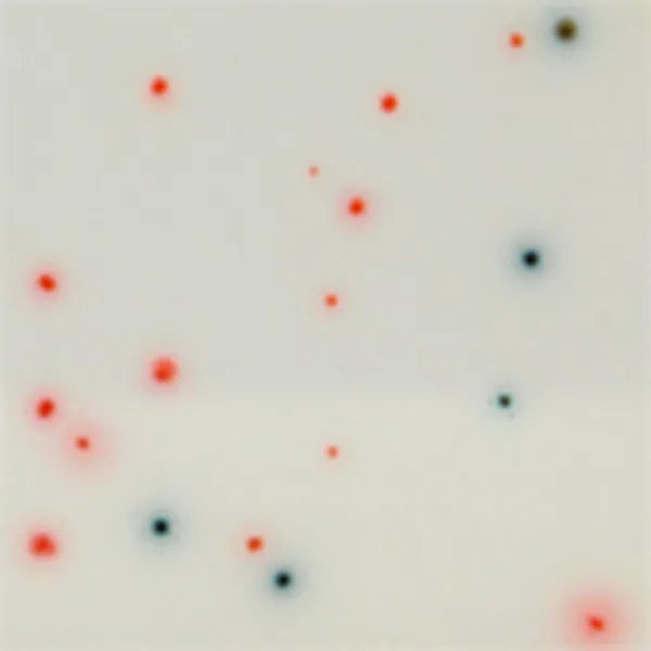 CHROMagar™ C. perfringens