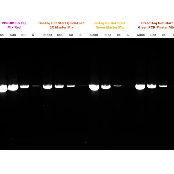 PCRBIO HS Taq DNA Polymerase & Mixes