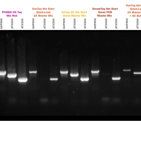 PCRBIO HS Taq DNA Polymerase & Mixes