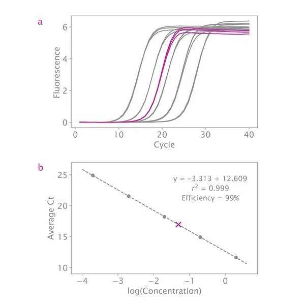 NGSBIO Library Quant Kit Blue for Illumina