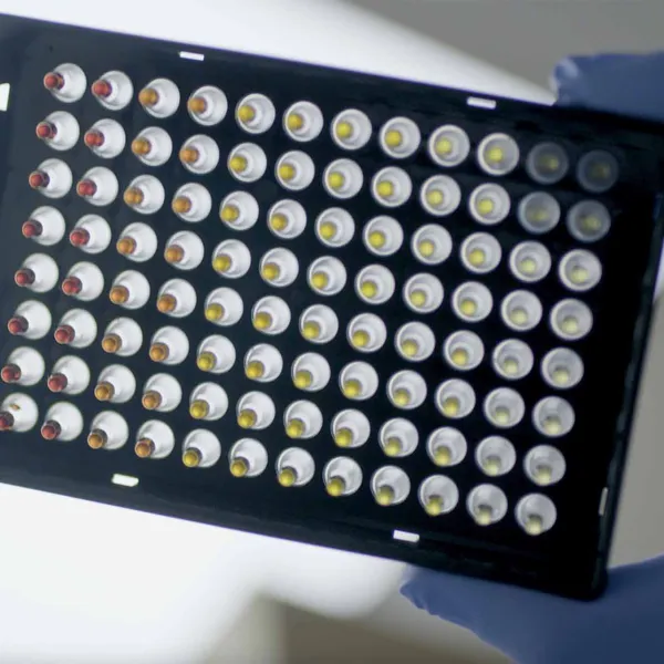 IsoFast® Hot Start Bst Polymerase Colour & Mix