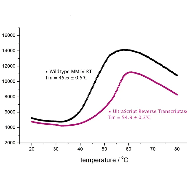 UltraScript® Reverse Transcriptase & cDNA Synthesis Kits