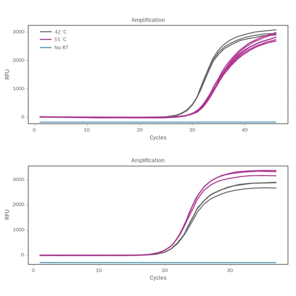 UltraScript® Reverse Transcriptase & cDNA Synthesis Kits