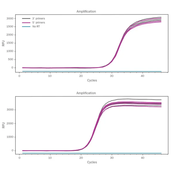 UltraScript® Reverse Transcriptase & cDNA Synthesis Kits