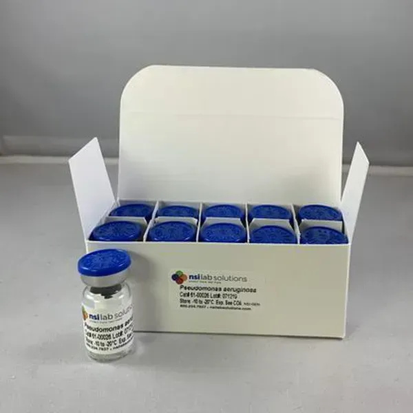 Pseudomonas paraeruginosa