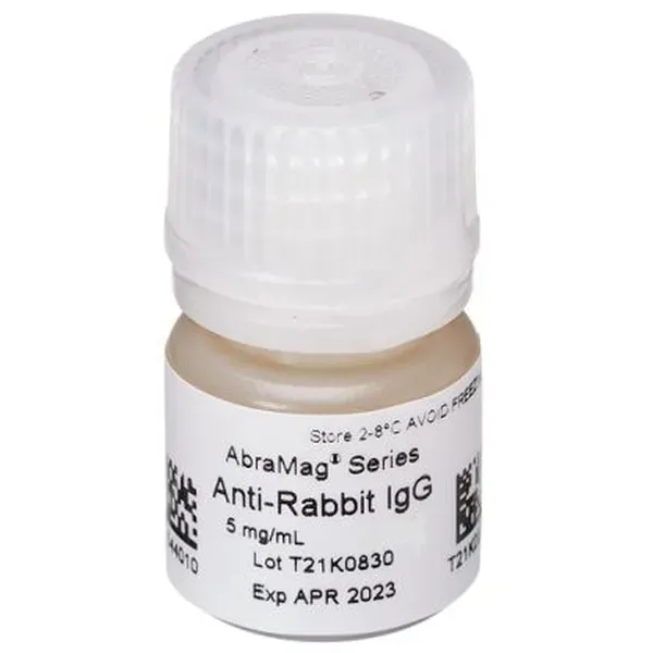 AbraMag® anti-Rabbit Magnetic Beads, 1 mL sample size, 5 mg/mL