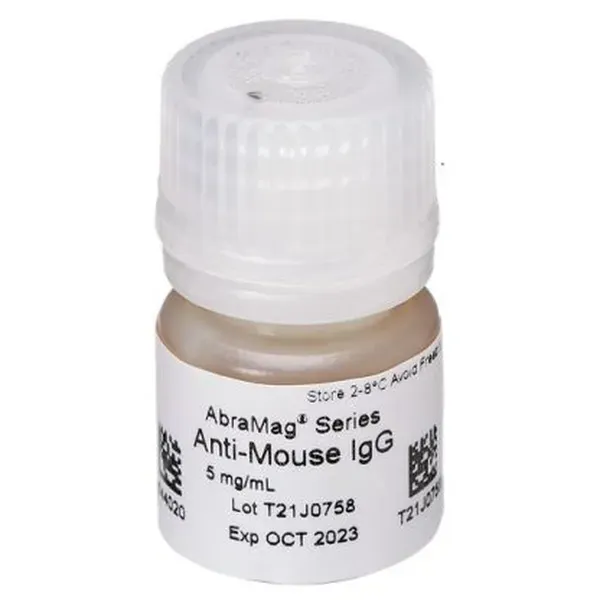 AbraMag anti-Mouse Magnetic Beads, 1 mL sample size, 5 mg/mL