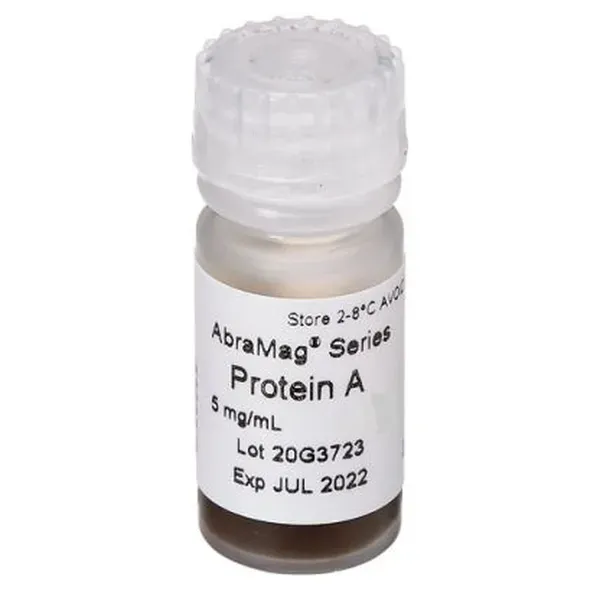 AbraMag® Protein A Magnetic Beads 2 mL, 5 mg/mL