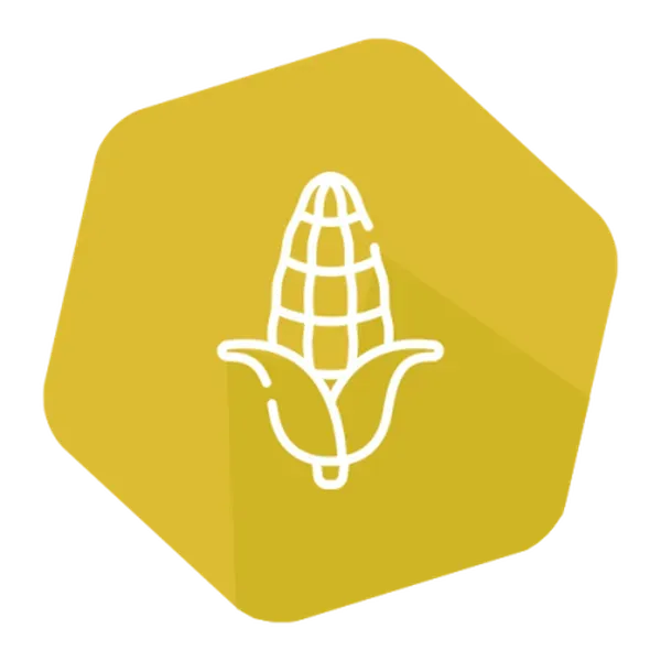 CP4 EPSPS (RR) Quantitative LFS Kit Corn