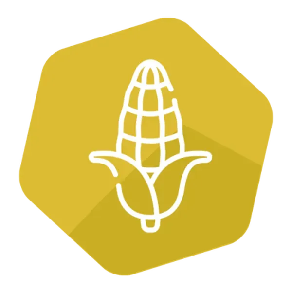 GMOQuant (LR) Event DAS-40178-9 Corn kit with DNA (hmgA) ref. PCR 48 rxns