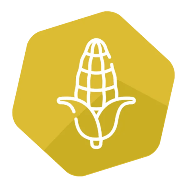 Modified Cry3A LFS kit for Corn