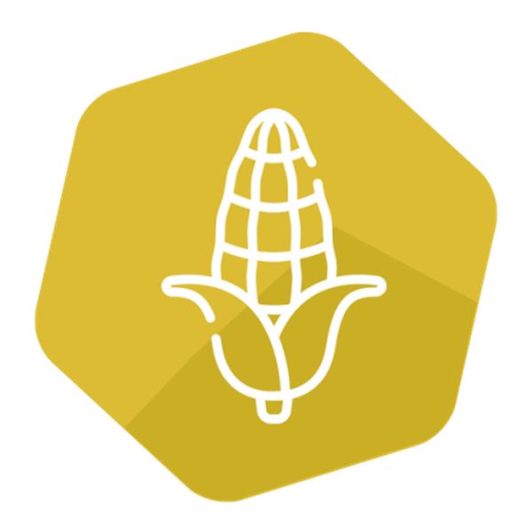 Modified Cry3A LFS kit for Corn