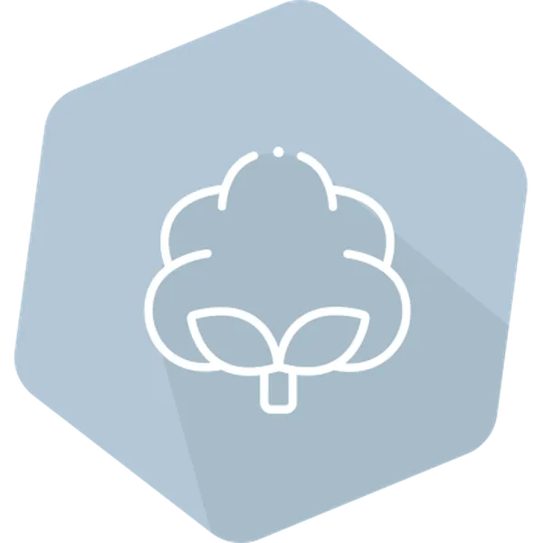 Cry1Ac/Cry2A/CP4EPSPS(RR) for Cotton