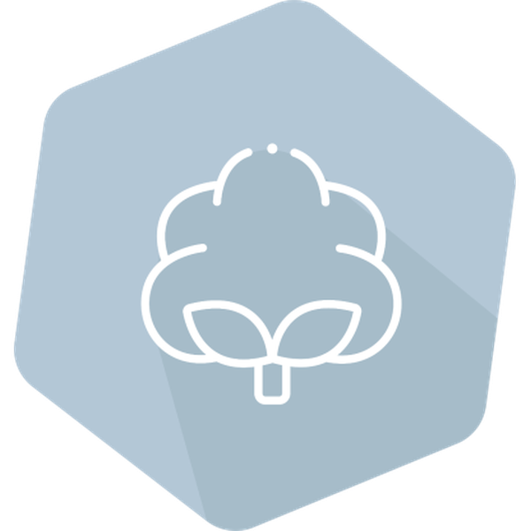 Cry1Ac/Cry2A/CP4EPSPS(RR) for Cotton