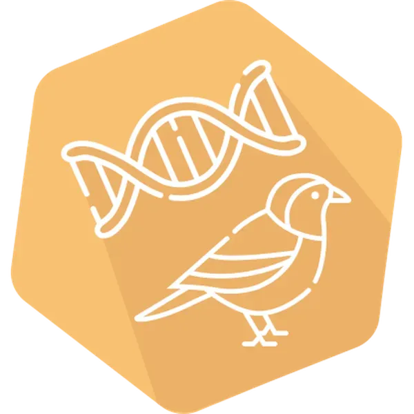 DNAnimal Screen Bird IPC