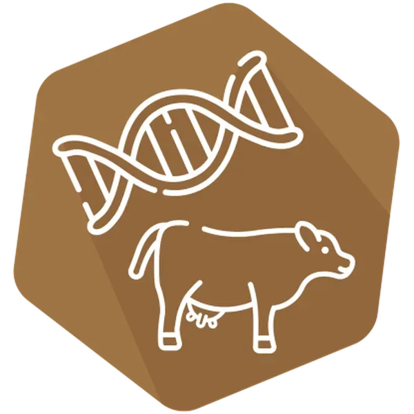 DNAnimal Ident Beef IPC