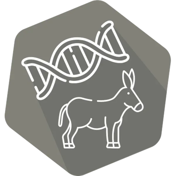 DNAnimal Ident Donkey (LR)