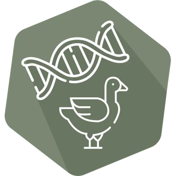 DNAnimal Ident Duck IPC