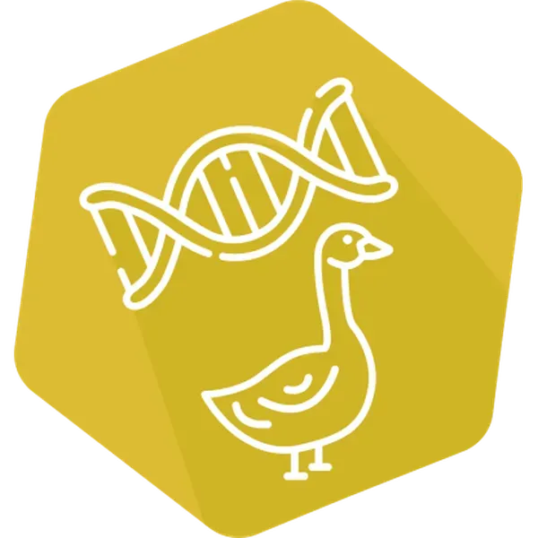 DNAnimal Ident Goose IPC