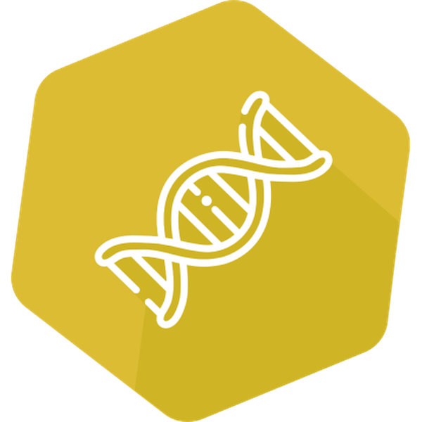 PREraser BACGene 2x48