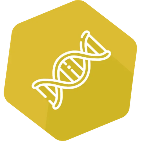 PREraser BACGene 2x48