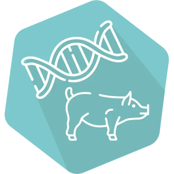 DNAnimal Ident Pork IPC