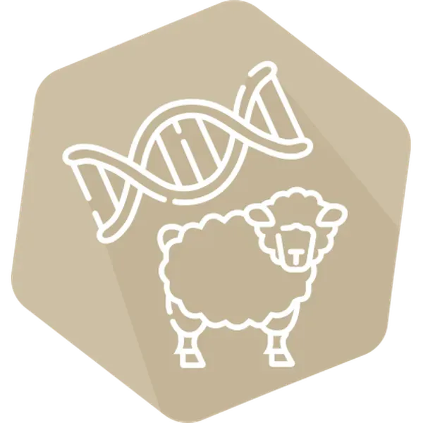 DNAnimal Ident Sheep IPC