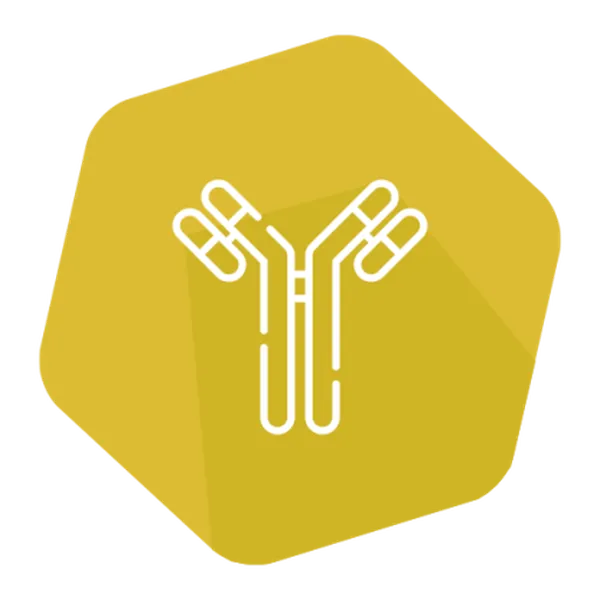 Conjugate Stabilizer/Diluent (HRP)