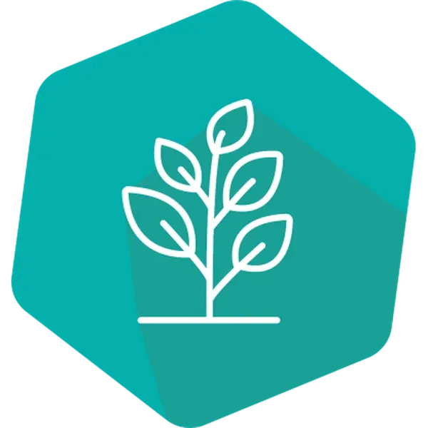 SpeciesIdent RT IPC (LR) Linseed