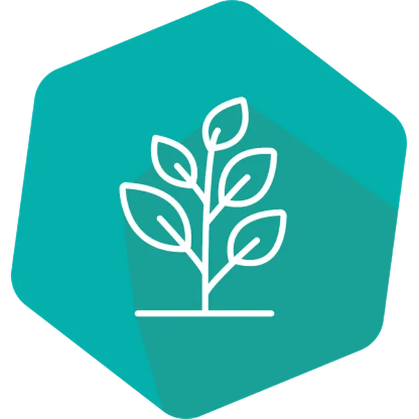 Cry2A LFS kit for Corn/Cotton