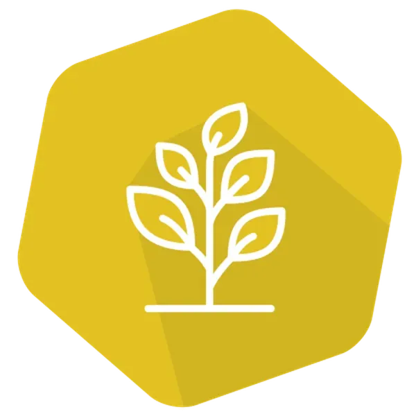 GMOQuant (UMM) Event Rf3 Rapeseed (EuRL method)_2178