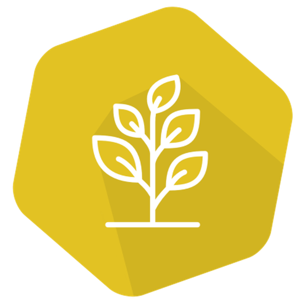 SpeciesIdent RT IPC (LR) Rapeseed