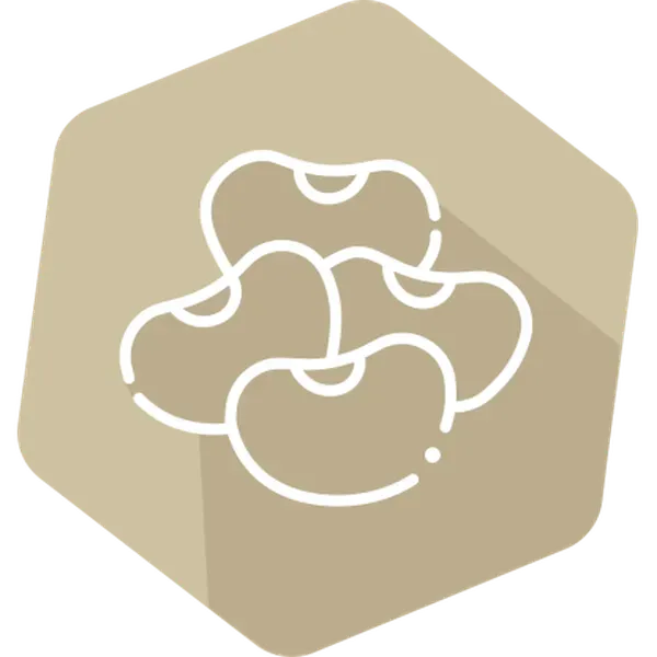 GMOQuant IPC (LR) MON87708 Soy