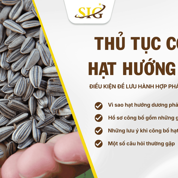 Dịch vụ công bố hướng dương trọn gói 2026