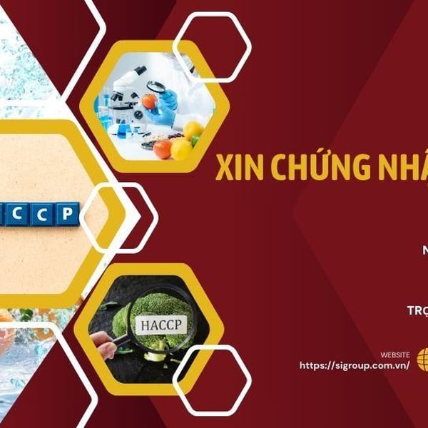 Dịch Vụ Xin Chứng Nhận HACCP – Nhanh Chóng, Uy Tín