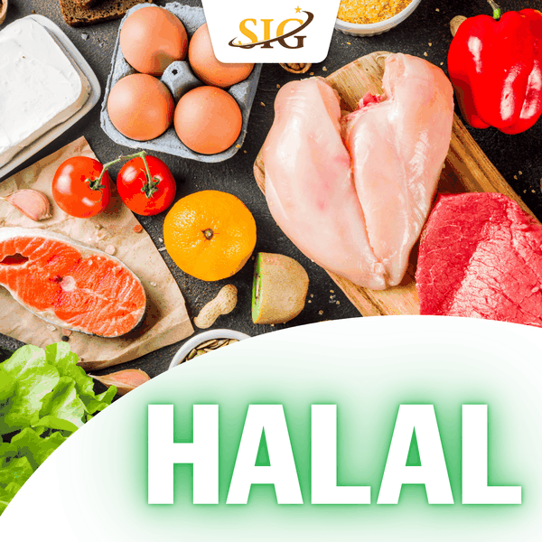 Chứng nhận Halal – Chìa khóa mở thị trường Hồi giáo cho doanh nghiệp Việt