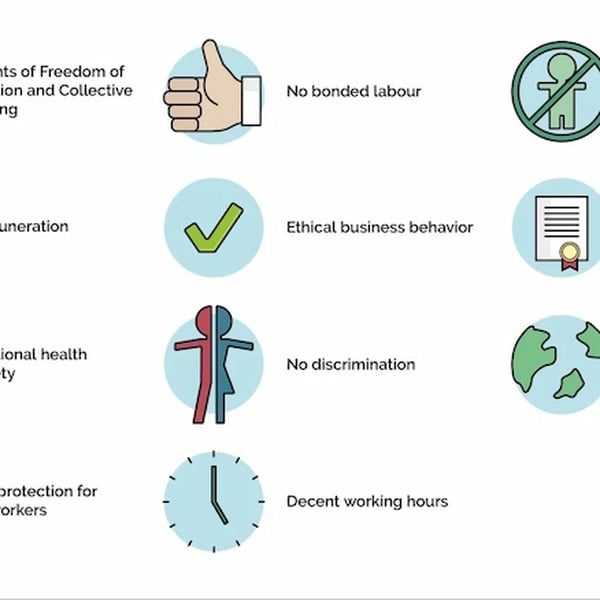 BSCI là gì? Tư vấn tiêu chuẩn đánh giá Amfori BSCI
