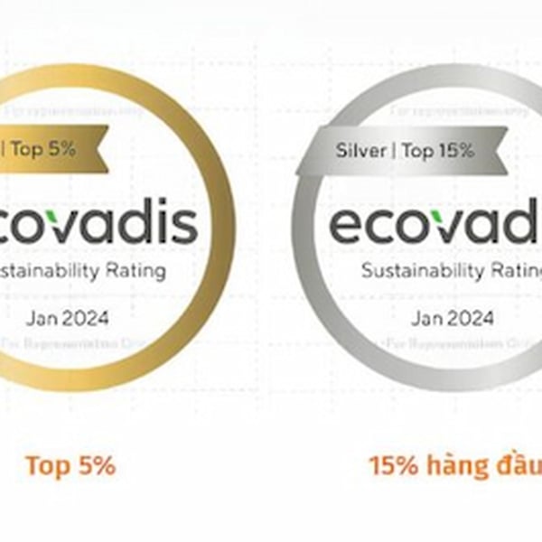 EcoVadis Là Gì? Cách đăng ký tiêu chuẩn EcoVadis