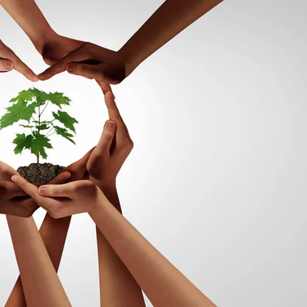EcoVadis Là Gì? Cách đăng ký tiêu chuẩn EcoVadis