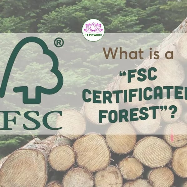 Chứng chỉ FSC là gì? Tư vấn FSC dịch vụ chuyên nghiệp