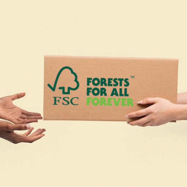Chứng chỉ FSC là gì? Tư vấn FSC dịch vụ chuyên nghiệp