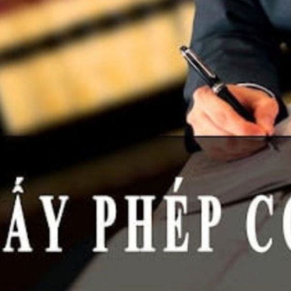 Giấy Phép Con Là Gì? Hướng Dẫn A-Z Cho Doanh Nghiệp