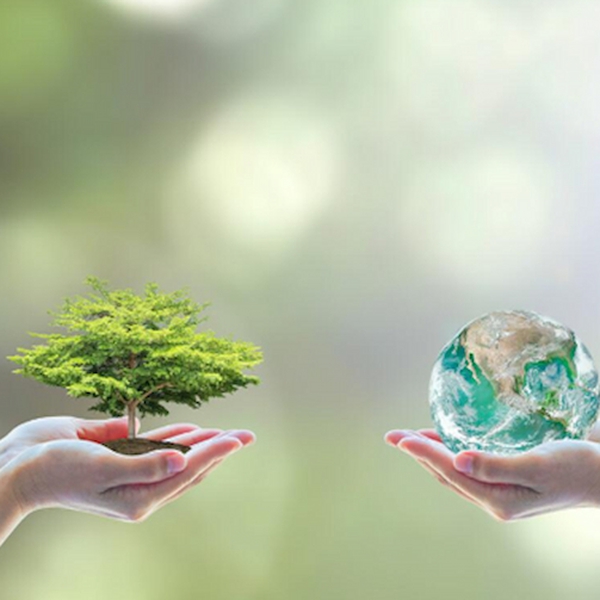 Higg FEM là gì? Tư vấn Higg Facility Environmental Module
