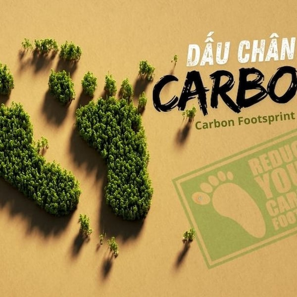 Iso 14064 là gì? Tư vấn tiêu chuẩn dấu chân carbon